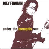 Joey Figgiani - Fire