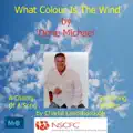 What Colour Is The Wind