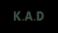 Go Crazy - Single - K.A.D