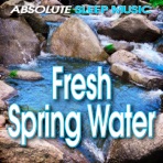 Fresh Spring Water - Single