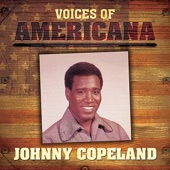 Johnny Copeland - Workin' Man's Blues