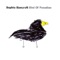 Doubting Thomas - Sophie Bancroft lyrics