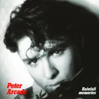 Rainfall Memories — Peter Arcade