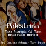 Palestrina: Missa Assumpta Est Maria; Missa Papae Marcelli