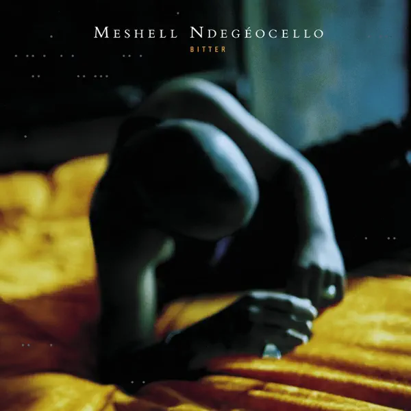 Fool of Me — Meshell Ndegeocello