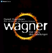 Wagner: Der Ring des Nibelungen [Bayreuth, 1991] artwork