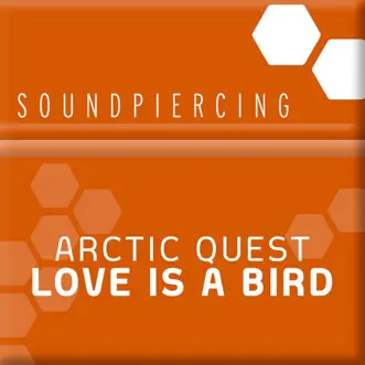 Love Is a Bird (Tech Mix) by Arctic Quest song reviws