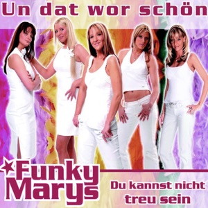 Du kannst nicht treu sein (Radio Edit)