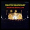 Astronaut - Walter Wanderley lyrics