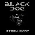 BLACK DOG