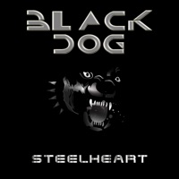 BLACK DOG