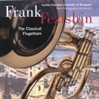Mozart Horn Concerto No. 1 - Allegro