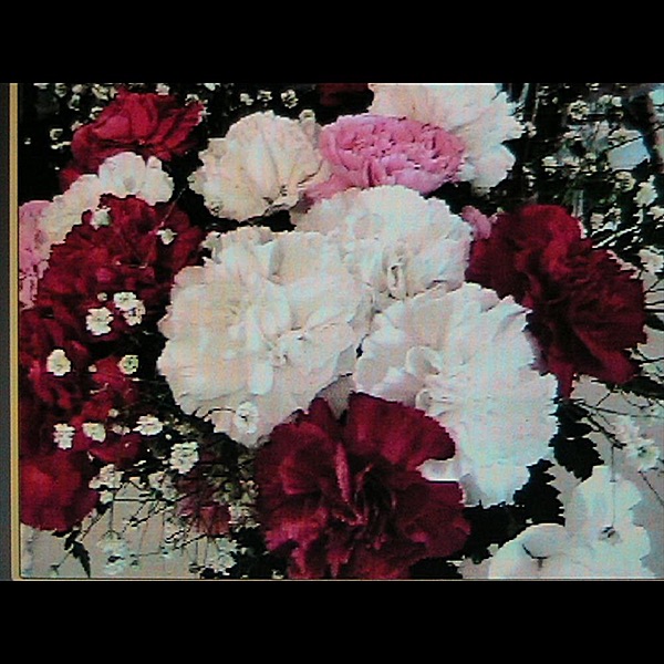 Love (Joys & Sorrows) - EP