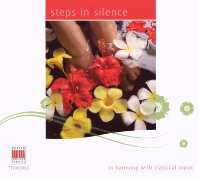 Steps In Silence (In Harmony With Classical Music)