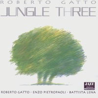Jungle Three - Roberto Gatto