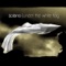Paint the Town Red - Solano lyrics