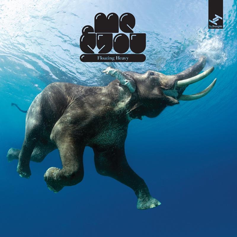 Cover du titre Last Night (Last Heads)