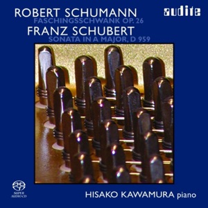 Schumann & Schubert: Piano Works