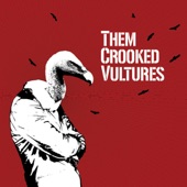 Them Crooked Vultures - Gunman