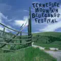 Chicken Reel (Instrumental) [Live]