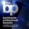 Are You That Somebody? (Karaoke in the Style of Aaliyah feat. Ludacris) cover art