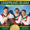 24 Karat - Ursprung Buam