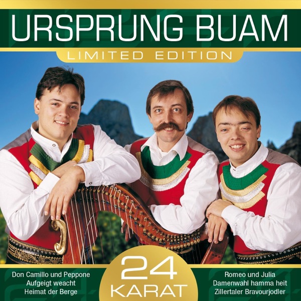 VOLKSMUSIK Ursprung Buam
