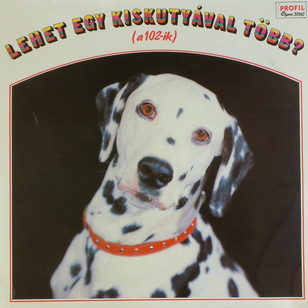 Lehet Egy Kiskutyával Több?