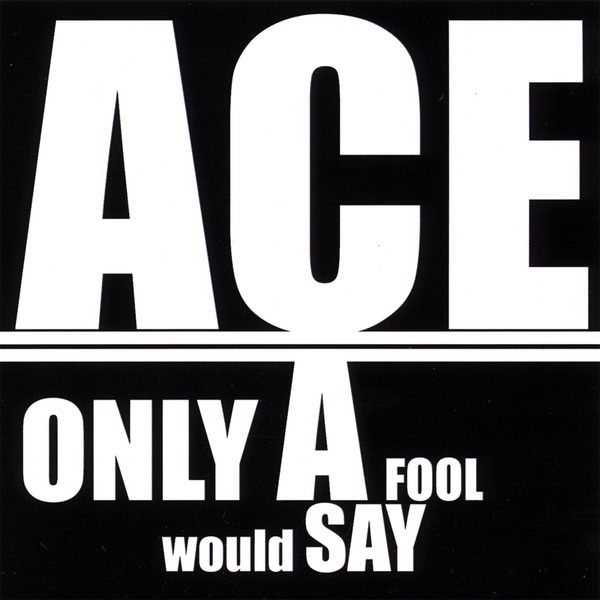 Cover of Only a Fool Would Say