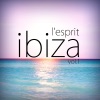 L'esprit Ibiza, Vol. 1