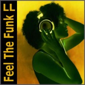 Feel the Funk (Funky Brothers Remix) artwork