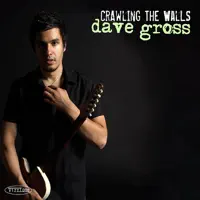 Don't Take Too Long — Dave Gross