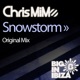 Snowstorm