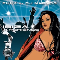 Dj Maddog - Soul Junkie