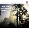 Deutsche Liturgie: No. 10, Heilig - Dresdner Kreuzchor & Roderich Kreile