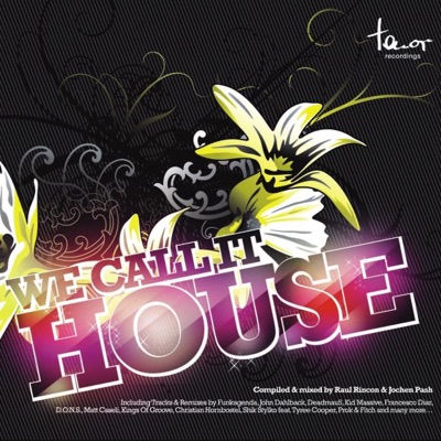 Tenor Recordings Pres. We Call It House, Vol. 2