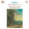 Henning Kraggerud & Helge Kjekshus - Violin Sonata No. 3 in C minor, Op. 45: II. Allegretto espressivo alla Romanza