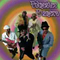 Polyester Funk
