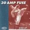 30 Amp Fuse - St. Patty's Day