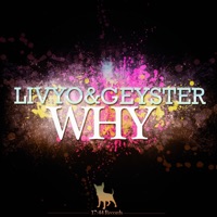 Why (feat. Geyster) - EP - Livyo