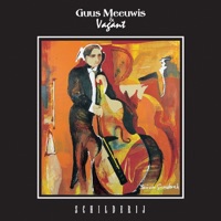 Schilderij - Guus Meeuwis