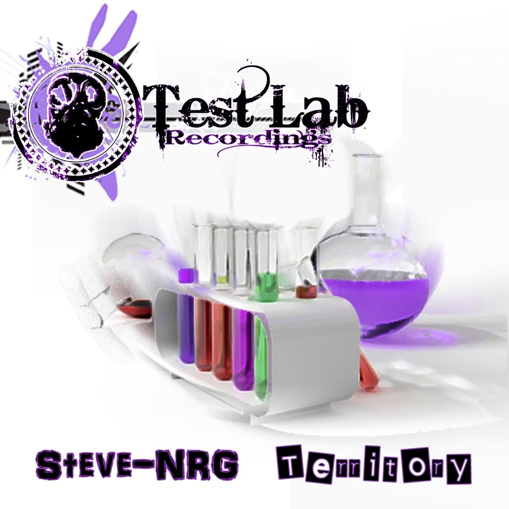 Обложка альбома «Territory (Steve-NRG & Riggsy's Crazy Dennis Mix) - Single» — Steve-NRG