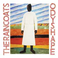 Shouting Out Loud — The Raincoats