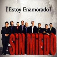 Estoy Enamorado - Sin Miedo