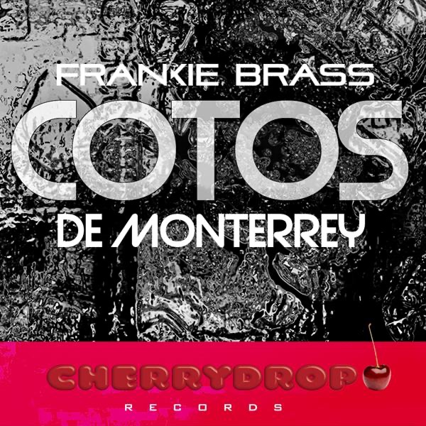 Cotos De Monterrey