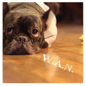 W.A.N.