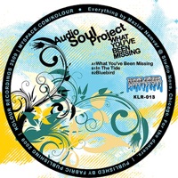 What You've Been Missing - EP - Audio Soul Project