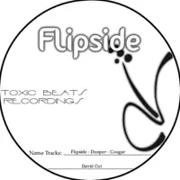 Flipside