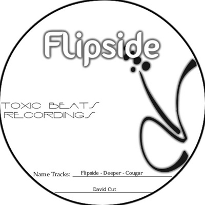 Flipside - Single