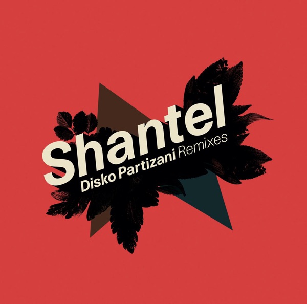 Disko Partizani (Remixes) - EP